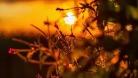 Zachód słońca nad jeziorem Dejguny, lipiec 2021 r. - zdjęcie 22