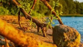 Zachód słońca w Fuledzie nad jeziorem Dobskim - zdjęcie 25