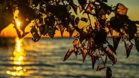 Zachód słońca w Fuledzie nad jeziorem Dobskim - zdjęcie 16