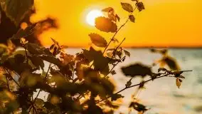 Zachód słońca w Fuledzie nad jeziorem Dobskim - zdjęcie 20