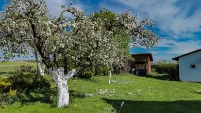 Dom całoroczny u Zofii w Rynie - zdjęcie 4