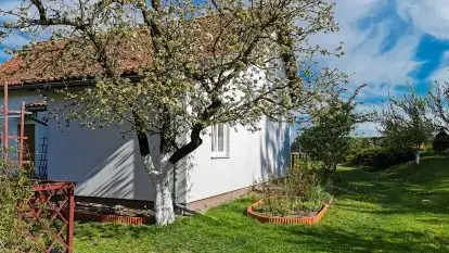 Dom całoroczny u Zofii w Rynie - zdjęcie 18