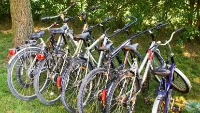 Dom Pod Lasem - zdjęcie 32