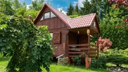 Nowa galeria - zdjęcie 69