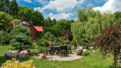 Nowa galeria - zdjęcie 60