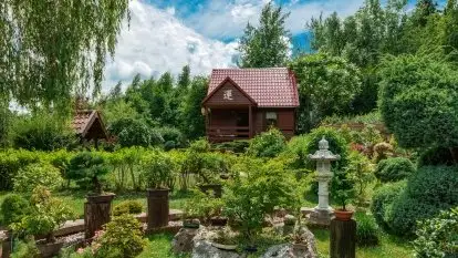 Nowa galeria - zdjęcie 67