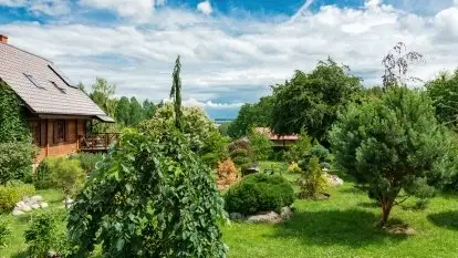 Nowa galeria - zdjęcie 63