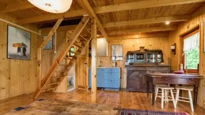 Nowa galeria - zdjęcie 56