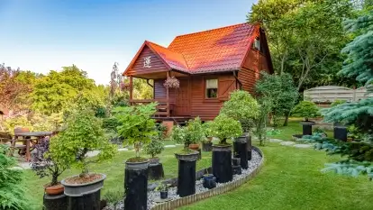 Nowa galeria - zdjęcie 16