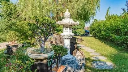 Nowa galeria - zdjęcie 34