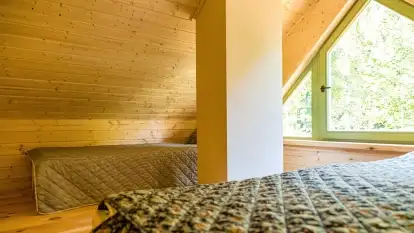 Nowa galeria - zdjęcie 45