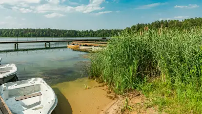 Ośrodek Wypoczynkowy Wiartel - zdjęcie 16