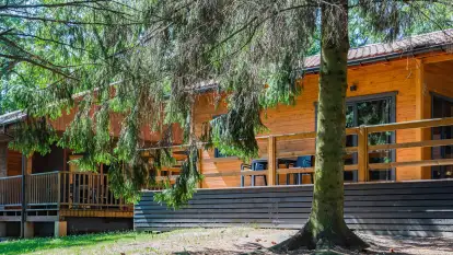 Ośrodek Wypoczynkowy Łabędzi Ostrów - zdjęcie 26