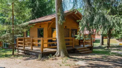 Ośrodek Wypoczynkowy Łabędzi Ostrów - zdjęcie 30