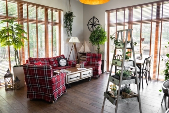 Nowa galeria - zdjęcie 35