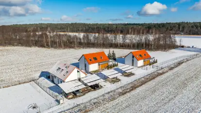 Ant House Complex - zdjęcie 24