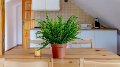 Pensjonat MiłoRyn - zdjęcie 21