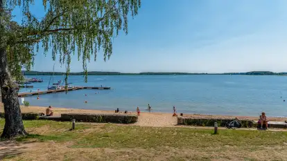 Pływający Dom Trygort - zdjęcie 22