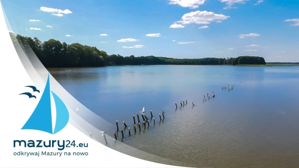 Flora i Fauna na Mazurach, lipiec 2020