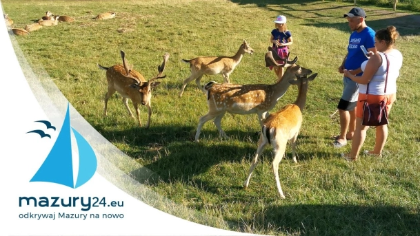 Wycieczka do Parku Dzikich Zwierząt w Kadzidłowie