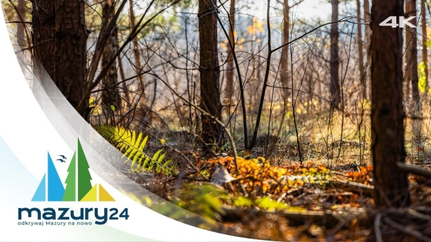 Końcówka jesieni 2024 na Mazurach, 4K