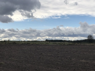 PROMOCJA !! Urokliwa działka budowlana w samym sercu Mazur! - zdjęcie 5