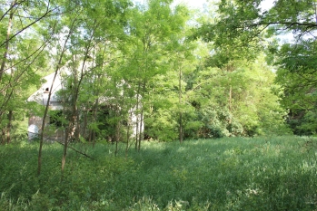 Nieduże poniemieckie siedlisko, 5 km od Karwicy i jeziora Nidzkiego - zdjęcie 11