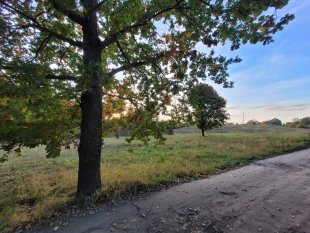 Działka budowlana 4635 m2 w Spręcowie z mediami - zdjęcie 4