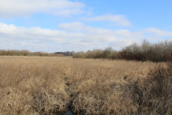 Działka rolna 4442 m2 blisko jeziora Białoławki - zdjęcie 15