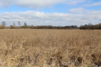 Działka rolna 4442 m2 blisko jeziora Białoławki - zdjęcie 14