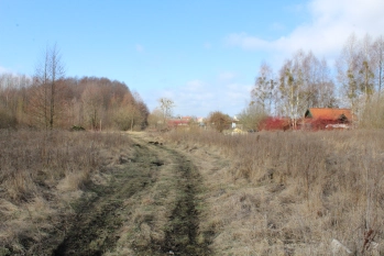 Działka rolna 4442 m2 blisko jeziora Białoławki - zdjęcie 8