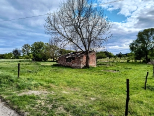 Działka siedliskowa w Zabielne 4 km od jeziora Roś - zdjęcie 11