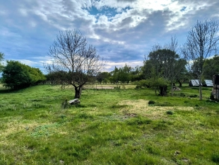 Działka siedliskowa w Zabielne 4 km od jeziora Roś - zdjęcie 6