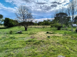 Działka siedliskowa w Zabielne 4 km od jeziora Roś - zdjęcie 1