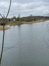 DZIAŁKA 29 ha GRZYBINY, DZIAŁDOWO, NIDZICA - zdjęcie 16