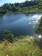 DZIAŁKA 29 ha GRZYBINY, DZIAŁDOWO, NIDZICA - zdjęcie 6