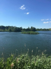 DZIAŁKA 29 ha GRZYBINY, DZIAŁDOWO, NIDZICA - zdjęcie 2