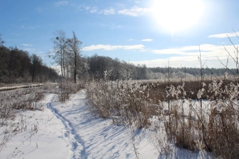 Działka rekreacyjna w Karwiku j. Seksty - zdjęcie 17