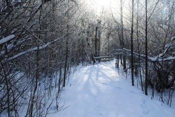 Działka rekreacyjna w Karwiku j. Seksty - zdjęcie 14
