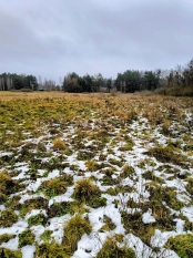 Działka rekreacyjna w Karwiku j. Seksty - zdjęcie 4