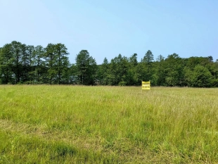 Działka z linią brzegową jeziora Wygryny w Wygrynach - zdjęcie 11