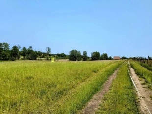 Działka z linią brzegową jeziora Wygryny w Wygrynach - zdjęcie 7