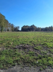 6 dużych działek rekreacyjnych 150 m od jeziora Roś - zdjęcie 4