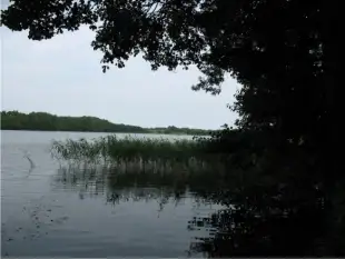 Działka z linią brzegową - zdjęcie 4