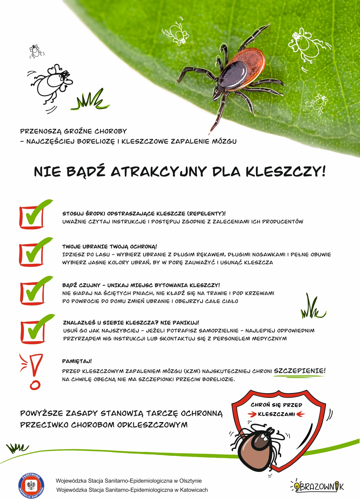 Kleszcze atakują także na Mazurach. Jak się przed nimi ustrzec?